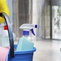 auto-entrepreneur Femme de ménage Femme de ménage, Annemasse 