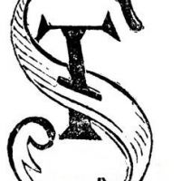 auto-entrepreneur Chauffeur de poids-lourd Chauffeur de poids-lourd, BRIE COMTE ROBERT 