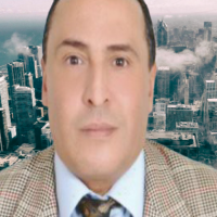 auto-entrepreneur Consultant Consultant, VAULX EN VELIN 