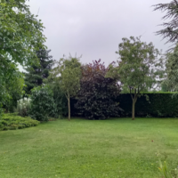 auto-entrepreneur Jardinage Jardinage, NEUVILLE ST VAAST