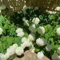 Photo de Service à la personne à Montoire Sur Le Loir