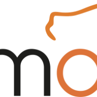 Photo de Mécanicien auto à Cande Sur Beuvron