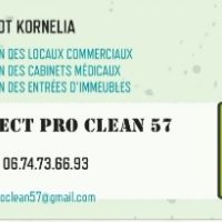 Entretien des locaux  hayes