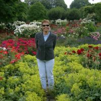 auto-entrepreneur Jardinage Jardinage, 95210 - ST GRATIEN 