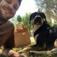 auto-entrepreneur Jardinage Jardinage, APT