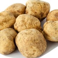 Exportations des truffes  Manzel bourguiba