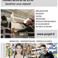Recherche Commercial / Merchandiseur pour missions ponctuelles BRICOLAGE FRANCE