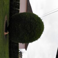 Photo de Jardinage à Vendenheim