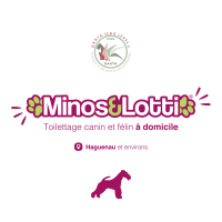 Photo de Autres services à Haguenau