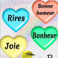 auto-entrepreneur Service à la personne Service à la personne, Trappes  