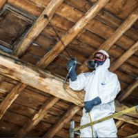 auto-entrepreneur Autres services Autres services, PRECIEUX 