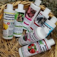 auto-entrepreneur Bien-être Bien-être, Ariana 