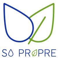 auto-entrepreneur Nettoyage Nettoyage, VILLEFRANCHE SUR SAONE 