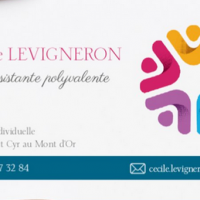 auto-entrepreneur Secrétaire Secrétaire, ST CYR AU MONT D OR 