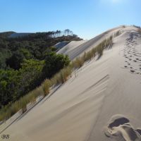 auto-entrepreneur Couvreur Couvreur, GUJAN MESTRAS 