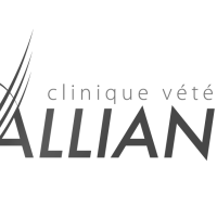 recherche bon bricoleur polyvalent Bordeaux