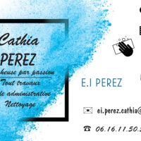 Homme de toutes mains  Pfastatt