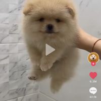 auto-entrepreneur garde d'enfants garde d'enfants, Paris 