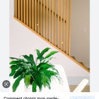 Photo de Menuisier à St Lambert La Potherie (49070)