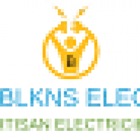 auto-entrepreneur Électricien Électricien, CHALON SUR SAONE 