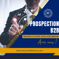 auto-entrepreneur Télévendeur Télévendeur, Vierzon 