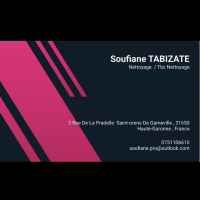 auto-entrepreneur Nettoyage Nettoyage, TOULOUSE 