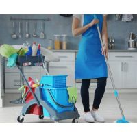 Photo de Femme de ménage à Paris