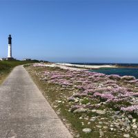 Photo de Femme de ménage à Ile De Sein