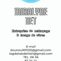 auto-entrepreneur Nettoyage Nettoyage, 69009 - LYON 