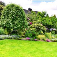 auto-entrepreneur Femme de ménage Femme de ménage, Nice centre  