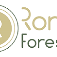 Photo de Menuisier à Istres