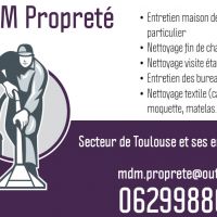 auto-entrepreneur Agent d'entretien Agent d'entretien, Beauzelle  