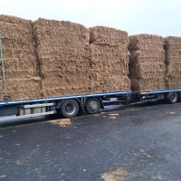 Photo de Chauffeur de poids-lourd à Le Mans