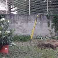 Photo de Paysagiste à Bourg De Thizy