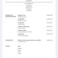 auto-entrepreneur Chauffeur de poids-lourd Chauffeur de poids-lourd, Saint Denis 