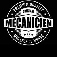 auto-entrepreneur Mécanicien auto Mécanicien auto, SAINT-NAZAIRE (44600) 