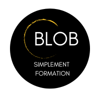 Photo de Consultant à Deville-les-rouen