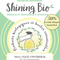 Photo de Femme de ménage à Foix