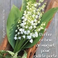 auto-entrepreneur Femme de ménage Femme de ménage, CLICHY 