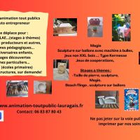 animations tout publics (taille de pierres, magie...) MONTFERRAND