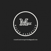 auto-entrepreneur Services aux entreprises  Services aux entreprises , Castelnau Le Lez 