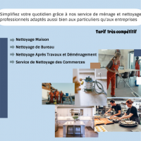 auto-entrepreneur Nettoyage Nettoyage, Toulouse 