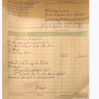 Mario services multiples  M'ont saint pere