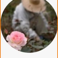 Entretien de jardins  Ile de France 