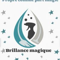 Brillance magique Carcassonne