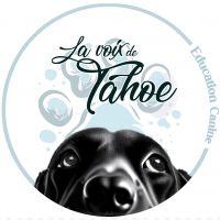 Educatrice comportementaliste canin