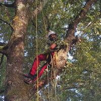 Paysagiste à Begles