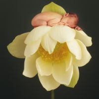 Garde d'enfants à Cevins