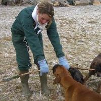 Garde d'animaux à Chavanod