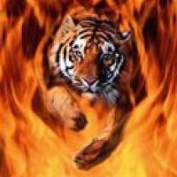 Photo de Garde d'enfants à Commentry